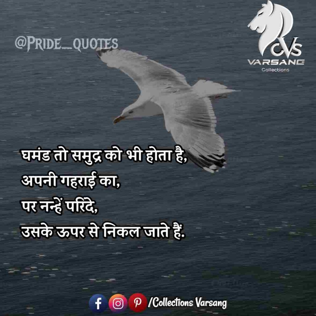 Latest 20 pride quotes in hindi